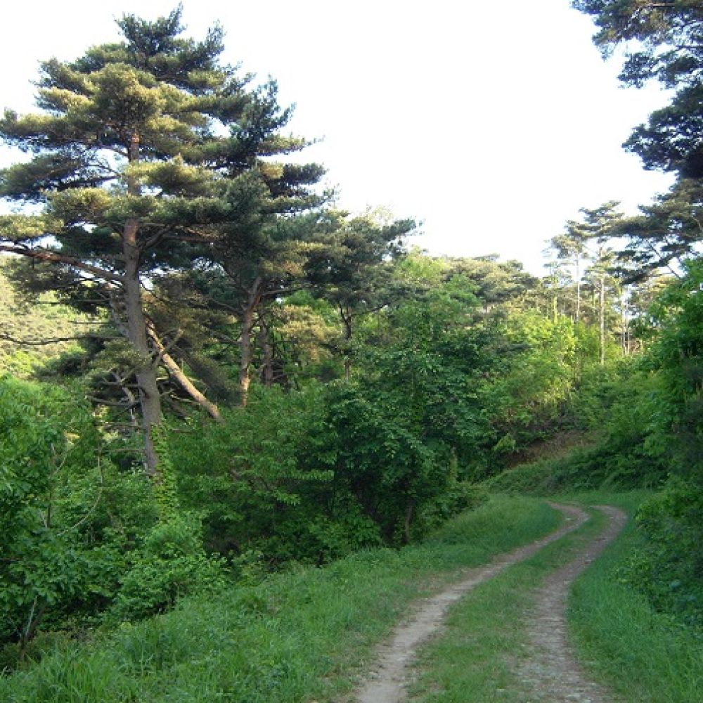 주변전경